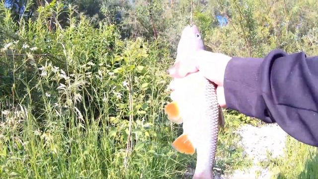 Bccc1dde3d9a49739909b1e9b91274f9