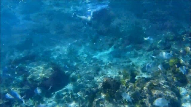 Snorkeling In Cabo, Gitup Git2 Action Camera