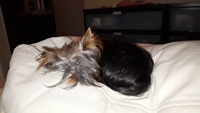 50d03a47180fca13835a57f418595d20