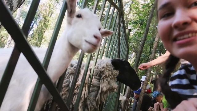 8a3722eae1a9a1852bd0f5d6b924ba39