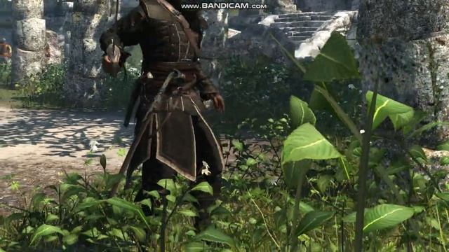 Assassin Creed Black Flag как найти забыьые сокровища