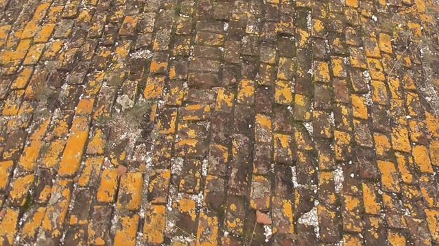 441f2033564f5cf9e311752bc28879f7