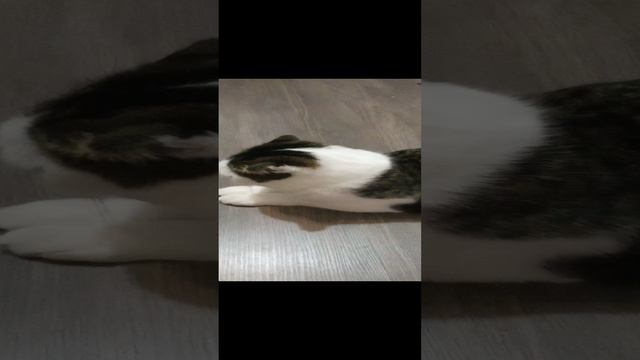 Саша вишенка🍒🍒🍒🍒🍒🍒♥️♥️