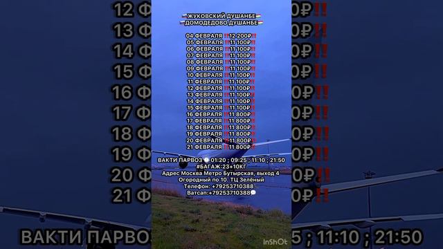 🇷🇺МОСКВА-ДУШАНБЕ🇹🇯04.02.24 #aviabilet #musofir #душанбе #moskva #курган_тюбе #худжанд