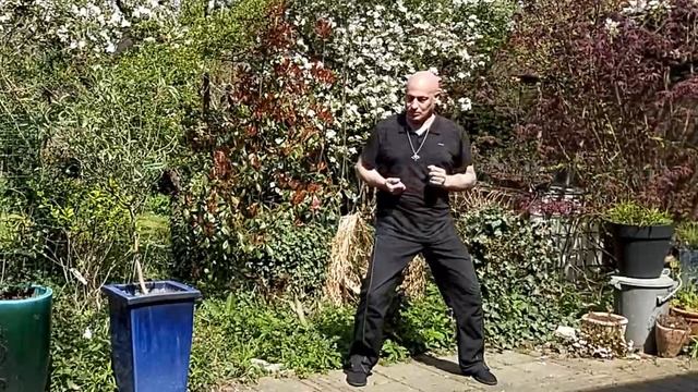 Taiji Qigong Shibashi  De 18 Qigong Taichi  Vorm 1