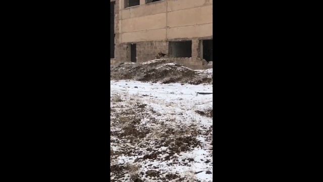 Snowy Airsoft In  Armenia/ Սթրայքբոլ / Strikeball