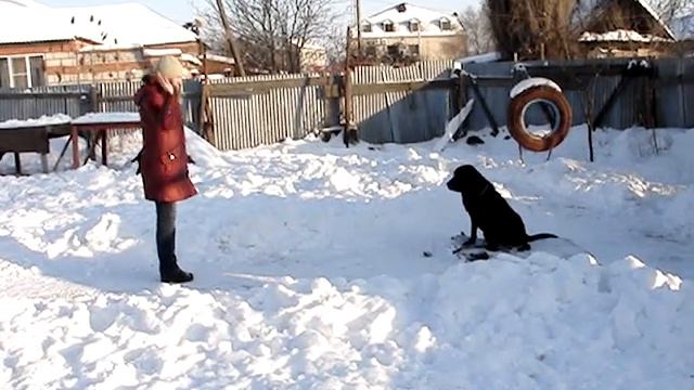 Послушание - рабочие моменты ОКД