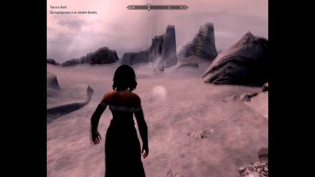 Skyrim Alcohol Effect