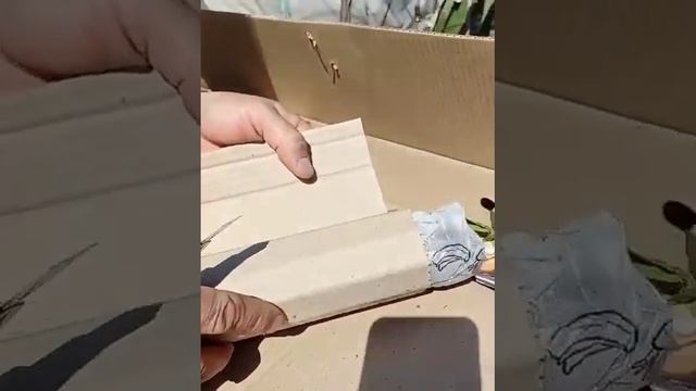 Отзыв  Агромаркет