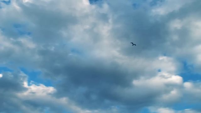 BOXER ВИДЕО-КЛИП Волгодонск 61 регион