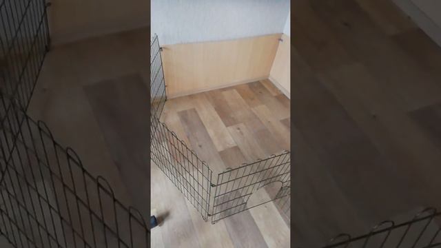 13 сентября 2020 г.