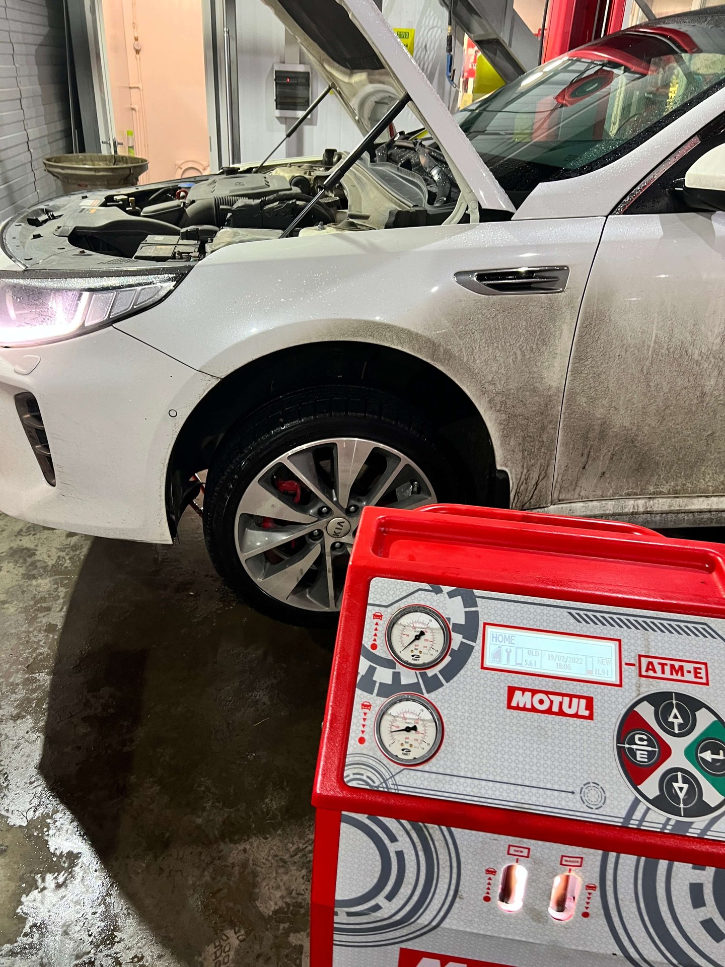 Команда Motul