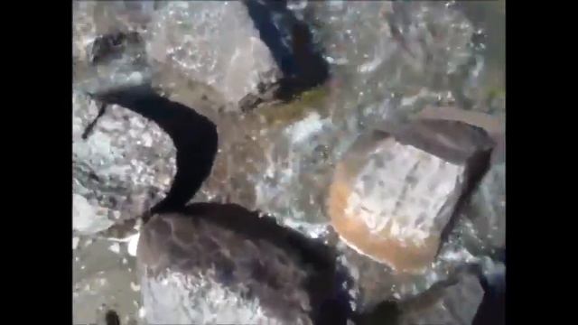 2496f30c6c26bcd2111a713c5ac66c3f