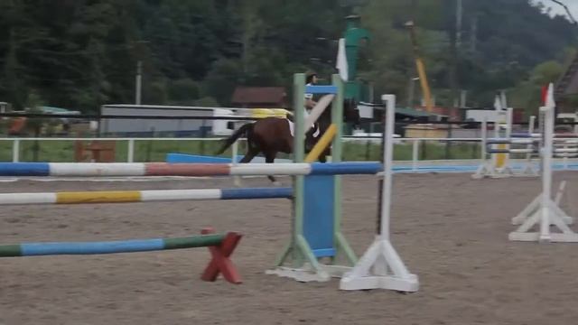 Дети любят лошадей - дайте счастья детям!