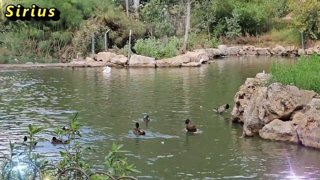 8 августа Ермолаев день: что категорически нельзя делать