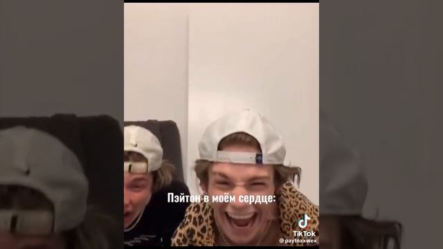 ПЕЙТОН ТОПЧИК