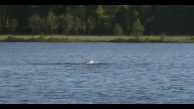 Плавание в открытой воде