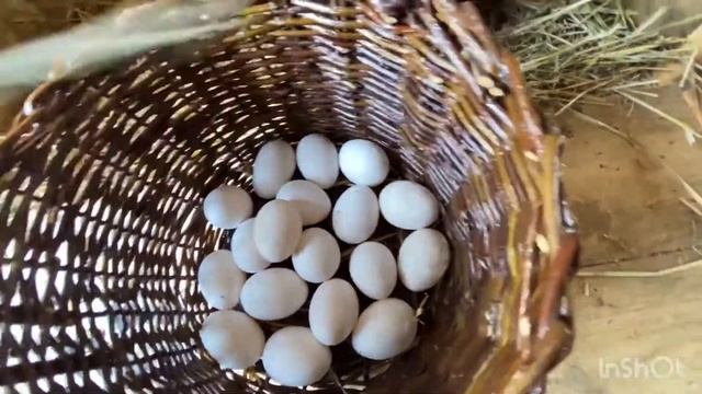 57a7ebe5d35bd65c921d8ac2aa9de495