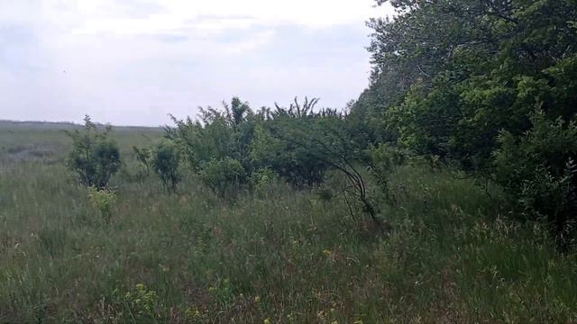 поехал в дальнюю посадку и нашол много чего интересного.