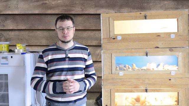 Инкубатор ФЕРМЕР выводок цыплят