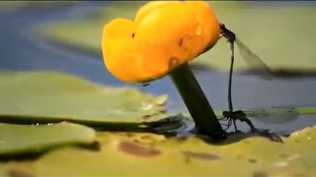 9ffb18cb4d4f5299322519e08a507854