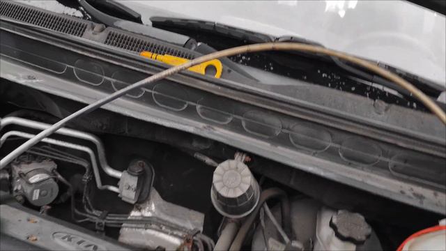 Путешествия в мир подземных сокровищ