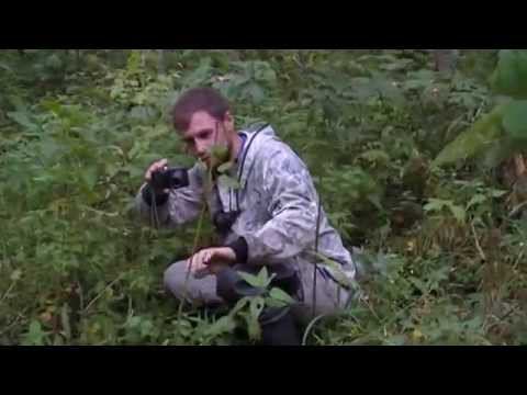 3D NIVA на safari 500, Eskudo на CST CL18, Samurai на silverstone mt-117 xtreme Леган-Кульское