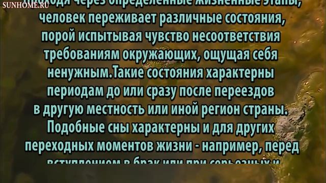 К чему снится Убегать от кого-то сонник, толкование сна