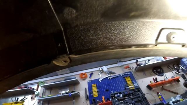 Автологическая наука