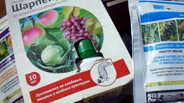 ЧЕМ ОБРАБОТАТЬ МАЛИНУ ОТ ВРЕДИТЕЛЕЙ