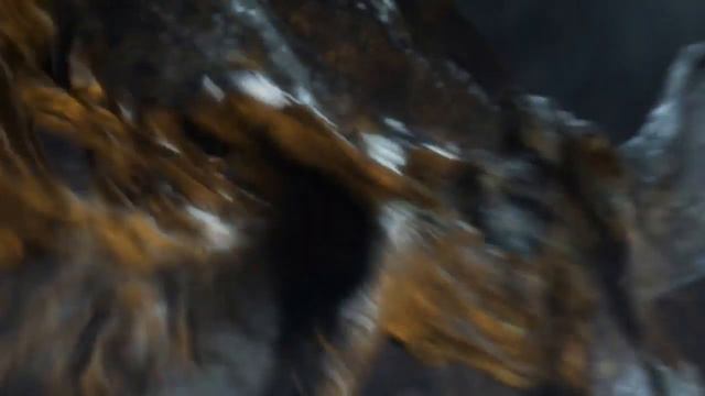 The Elder scrolls 5 WTFNeTwOrK and LKI present