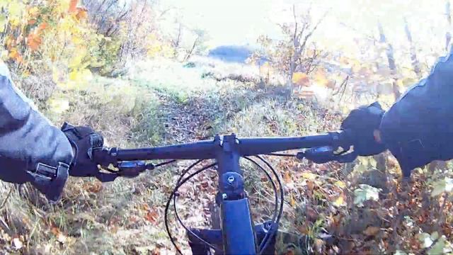 Фурор в Кулинарии