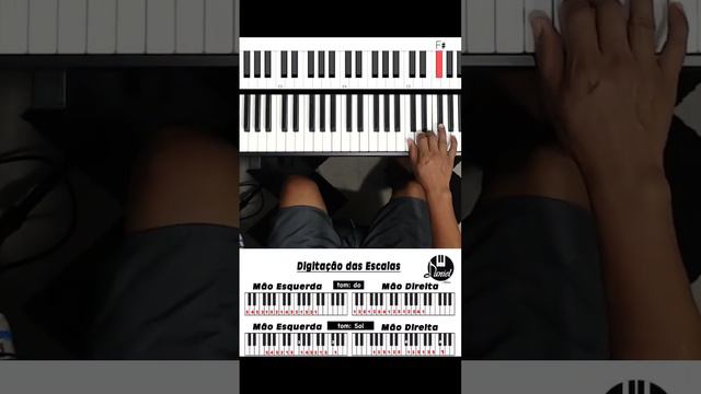 A Digitação Correta Da Escala De Sol