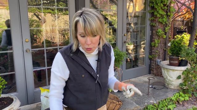 BEFORE & AFTER Container Garden |