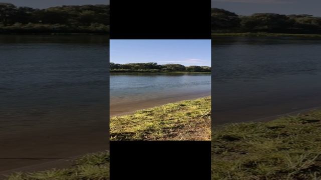 Станислав Морозов/красный сын