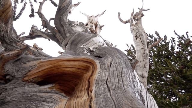 Nevada Road Trip - Best Places To Visit In Nevada | Exploring Nevada With Local Adventurer