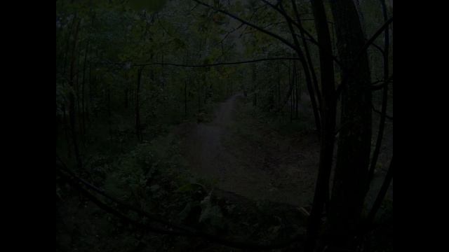 РОЖДЕНИЕ МЕЧТЫ