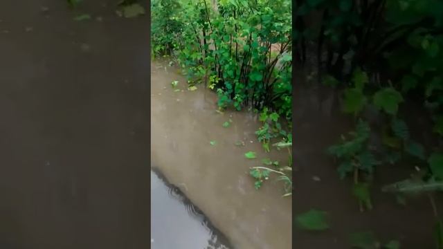 F93ce9a46fbad979d01d89db3e4d9d37