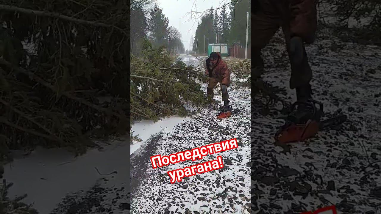 Елка упала на дорогу! Выбираемся из тайги!