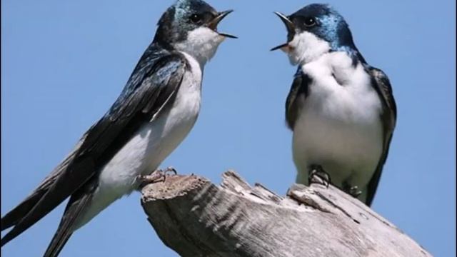 F45d86ac10d7e2776498f3d8e37e76be