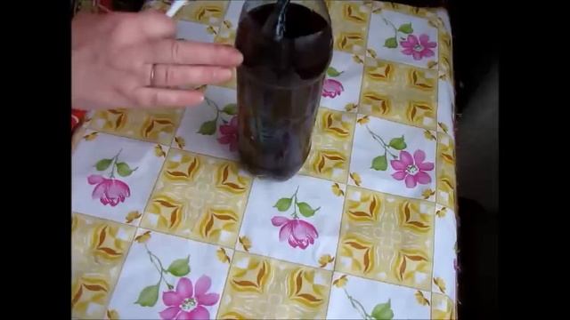 Засолка скумбрии в бутылке