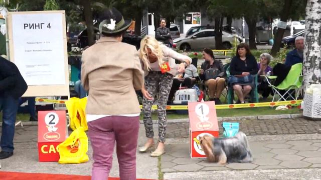 Киноложка Изложба - The DOG Show – 2016 - BOG FCI GROUP ІІІ