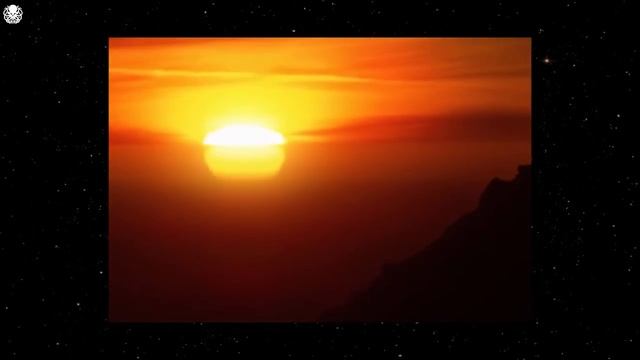 3db5ef066a47989860eae6fd20e0c495