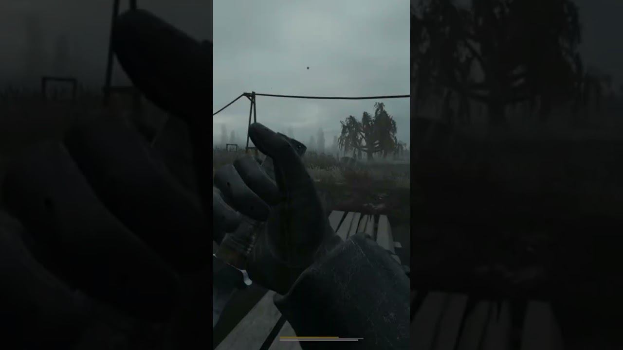 11 августа 2024 г.