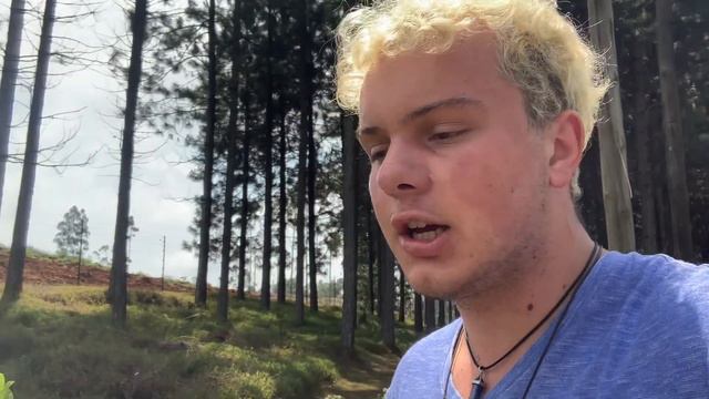 How To Dead Head Your Proteas