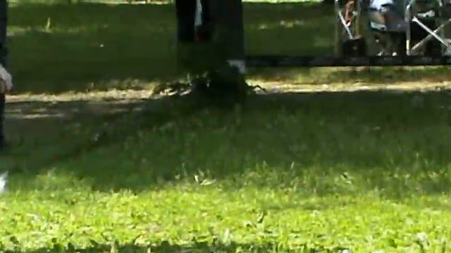 сравнение на ЛПП.MPG