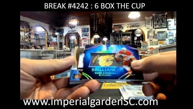 BREAK #4242: 6 BOX 2021-22 #upperdeck THE CUP #Exquisite  NHL HOCKEY BOX CASE BREAK