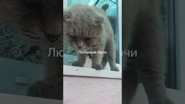 476a1a689b0c5b93d367cd26fcfc9835