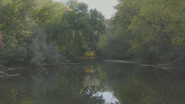 4k дикая река