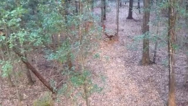 One Handed Crossbow Kill